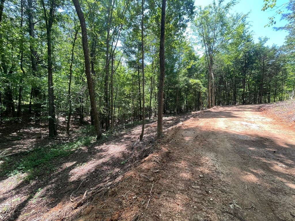Lot 13 Chalcrest Way, Cave Spring GA 30124 - Photo