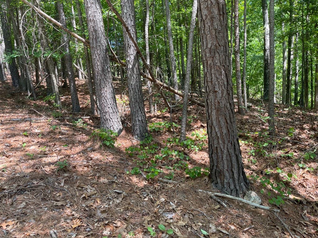 Lot 13 Chalcrest Way, Cave Spring GA 30124 - Photo