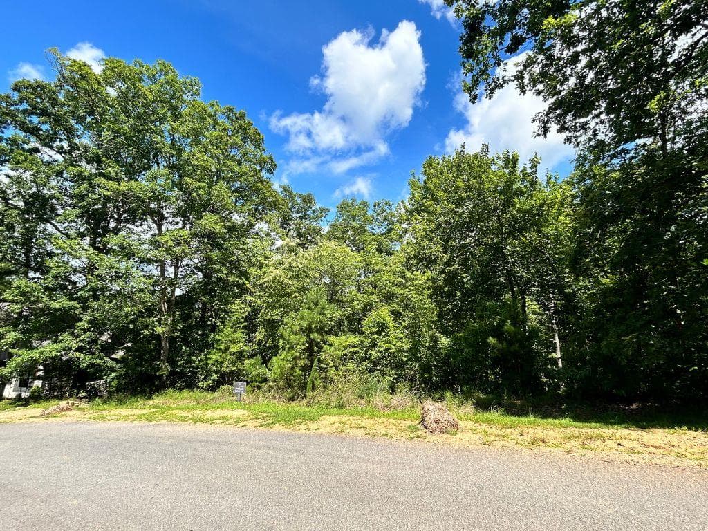 HP25 Old Toccoa Loop, Mineral Bluff GA 30559 - Photo