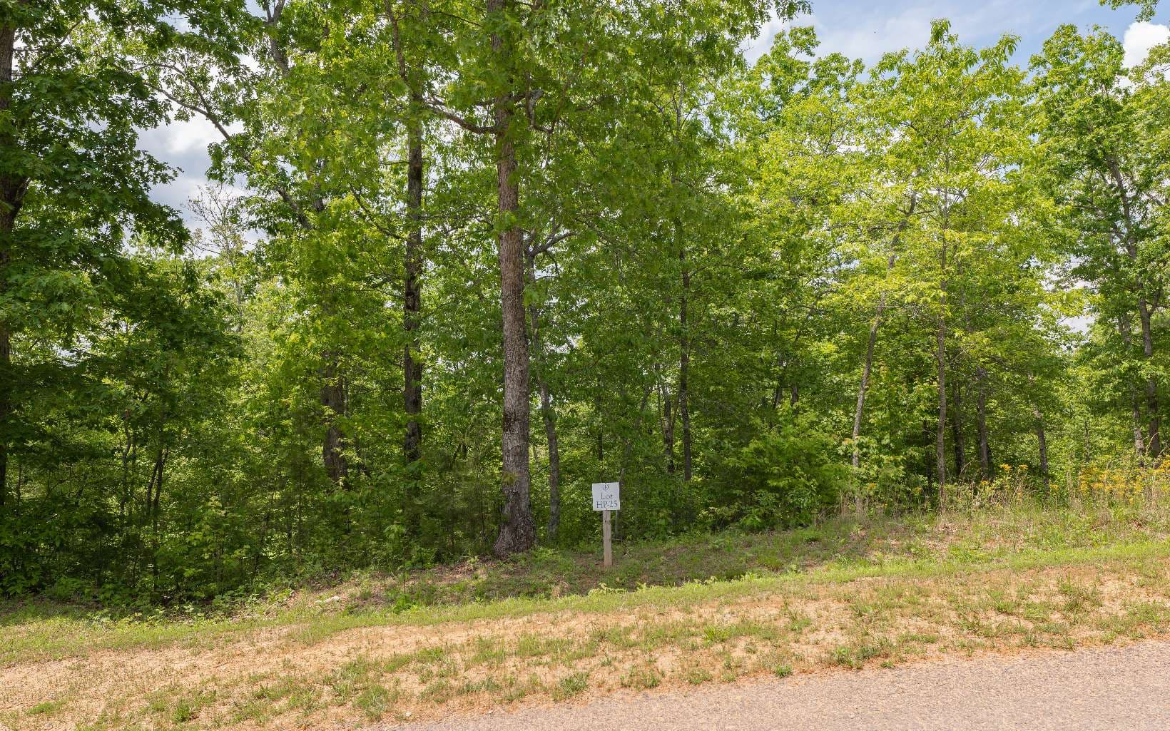 HP25 Old Toccoa Loop, Mineral Bluff GA 30559 - Photo