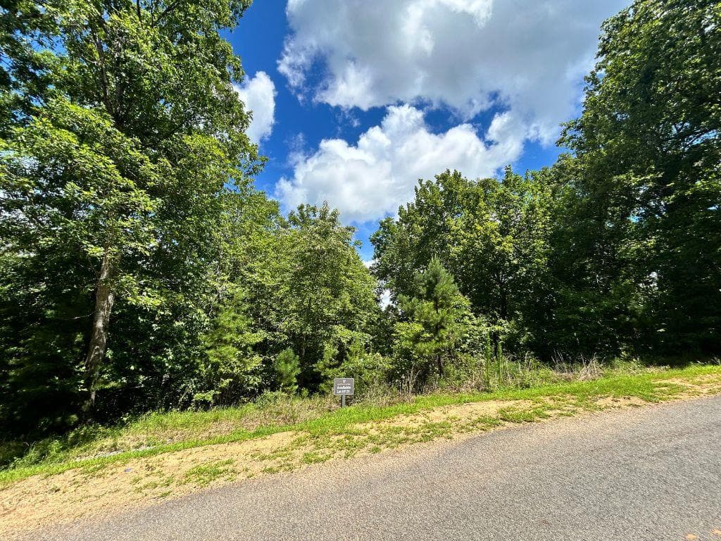 HP25 Old Toccoa Loop, Mineral Bluff GA 30559 - Photo
