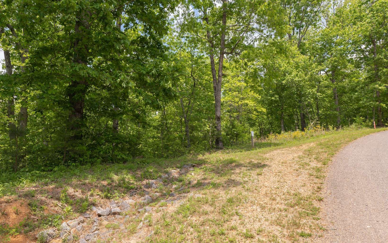 HP25 Old Toccoa Loop, Mineral Bluff GA 30559 - Photo