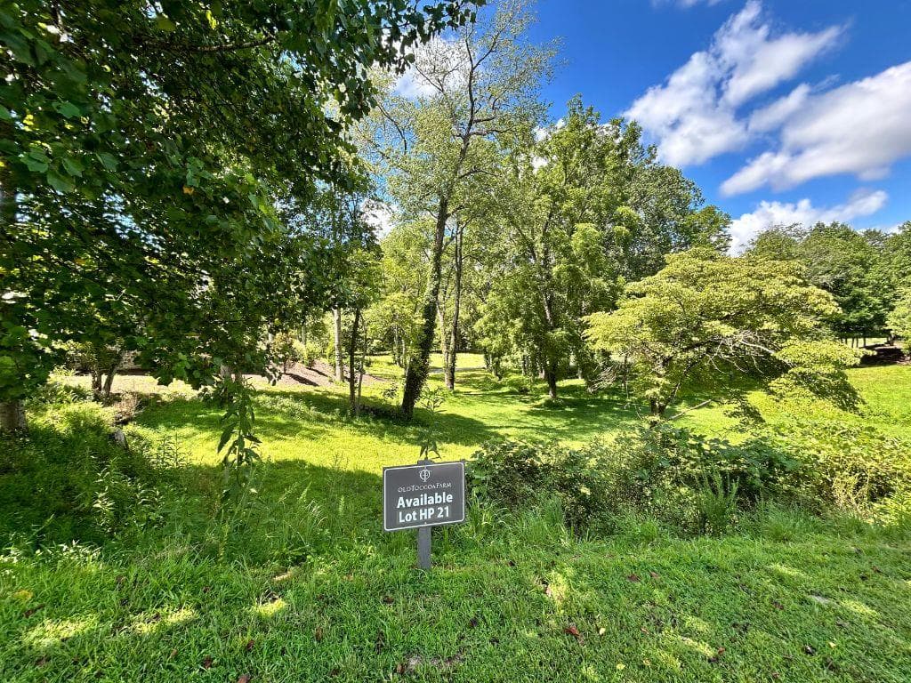 Lot HP21 E Old Toccoa Loop, Mineral Bluff GA 30559 - Photo