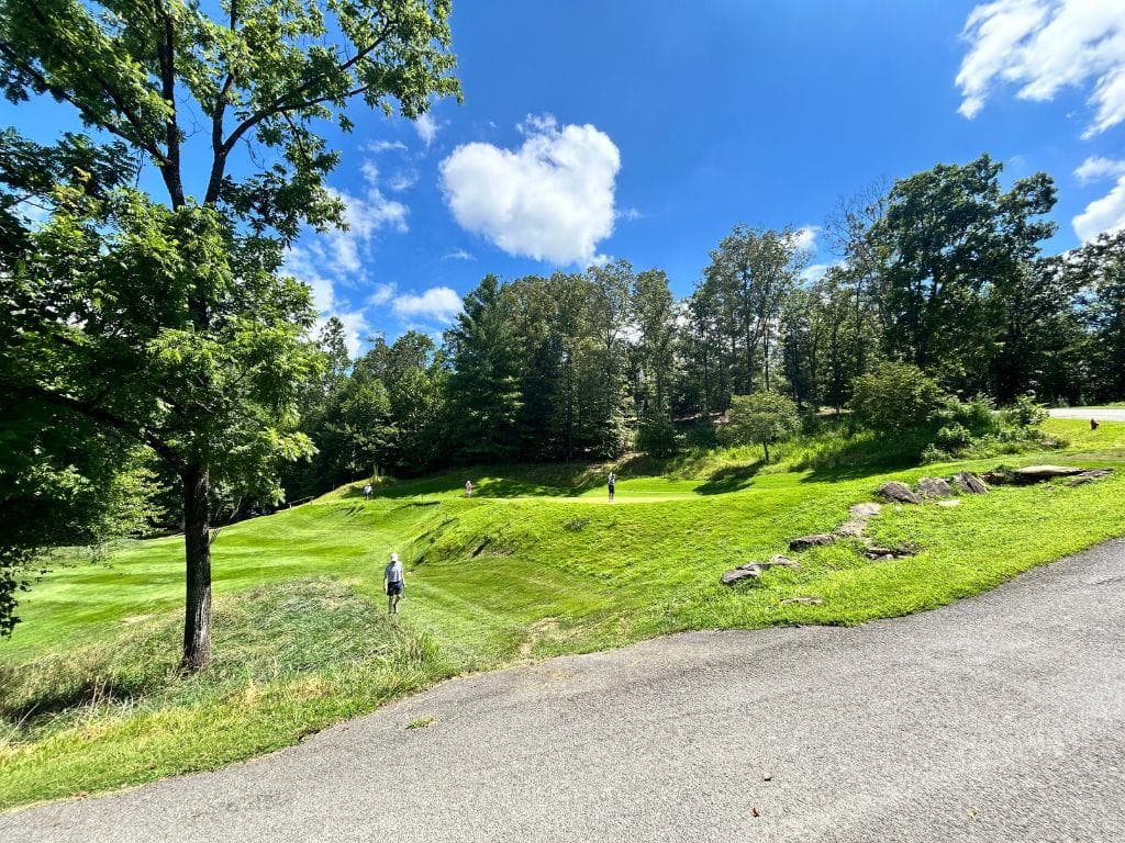 Lot HP21 E Old Toccoa Loop, Mineral Bluff GA 30559 - Photo