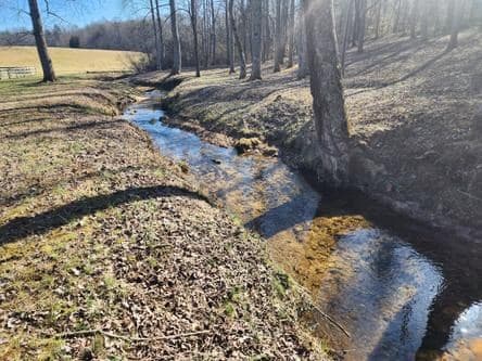 186 Rice Landing Ct., Hayesville NC 28904 - Photo