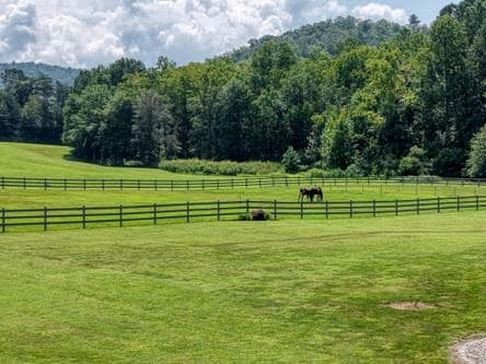 186 Rice Landing Ct., Hayesville NC 28904 - Photo