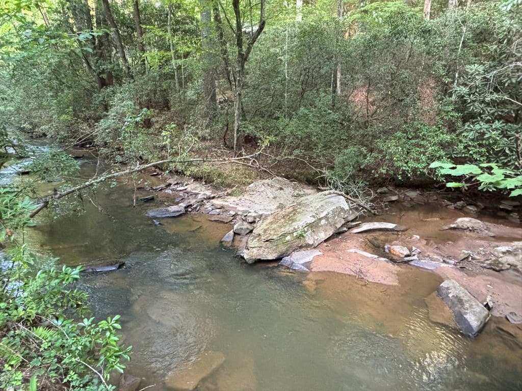 443 Mt. Springer Road, Ellijay GA 30540 - Photo