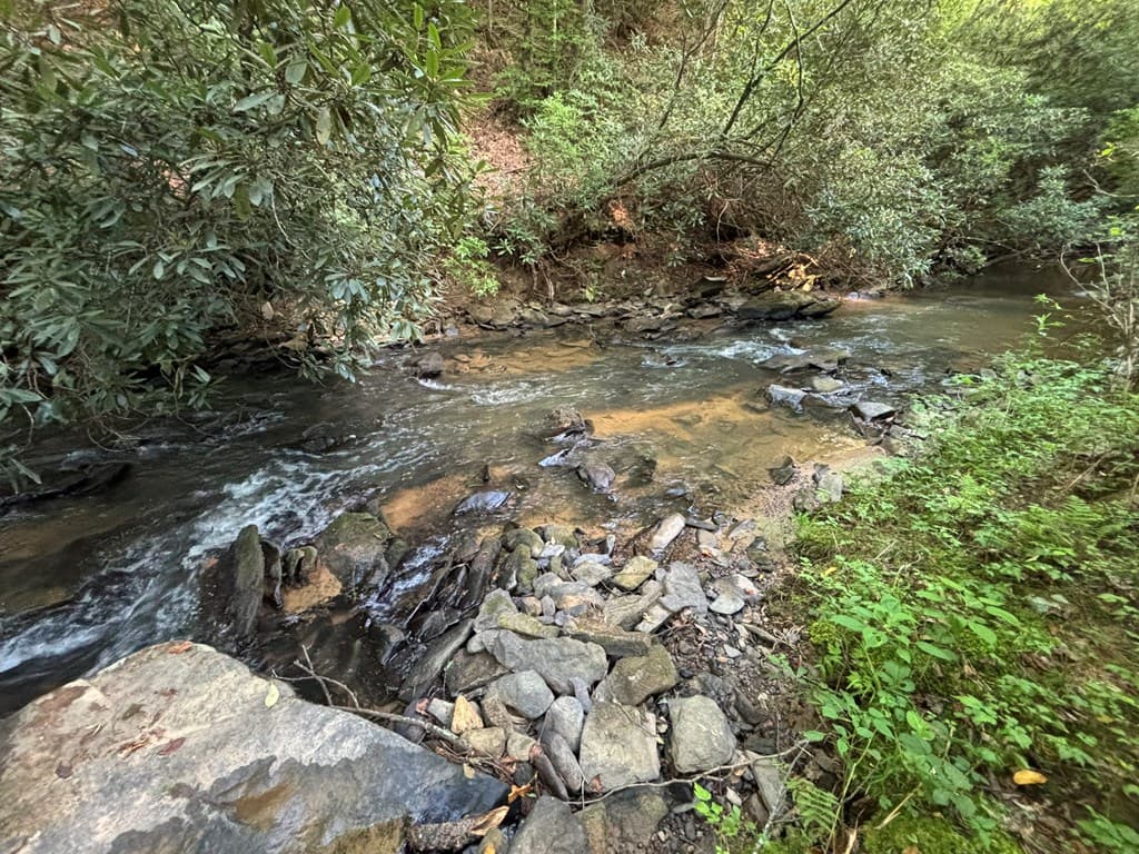 443 Mt. Springer Road, Ellijay GA 30540 - Photo