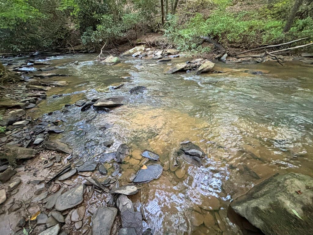 443 Mt. Springer Road, Ellijay GA 30540 - Photo