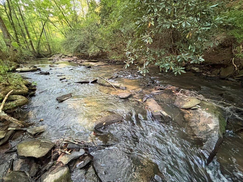 443 Mt. Springer Road, Ellijay GA 30540 - Photo