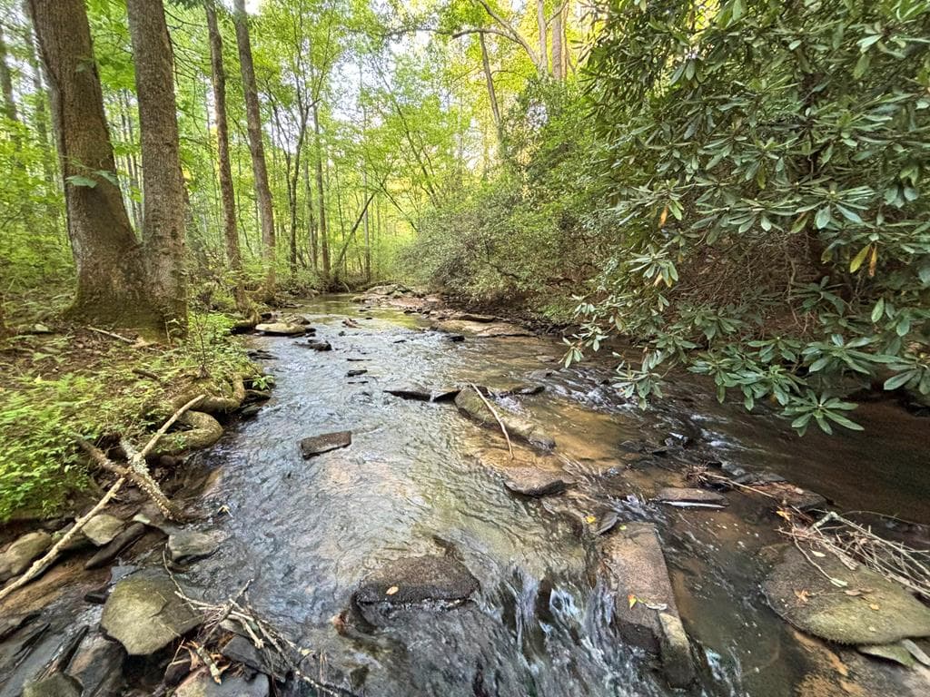 443 Mt. Springer Road, Ellijay GA 30540 - Primary photo