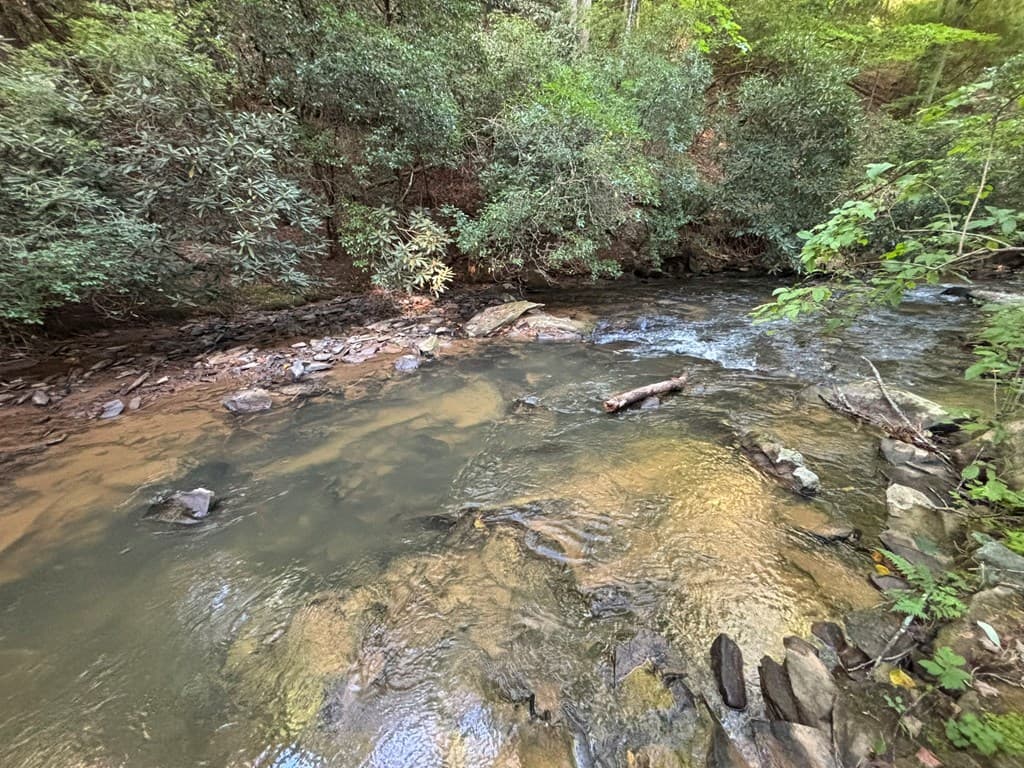 443 Mt. Springer Road, Ellijay GA 30540 - Photo