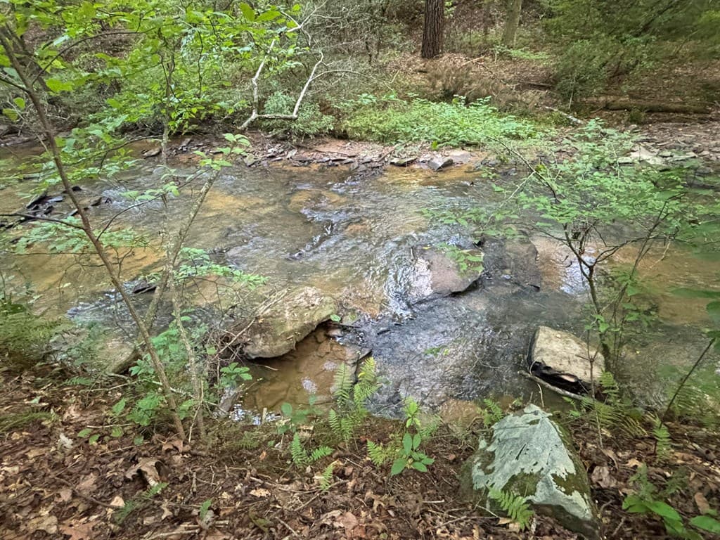 443 Mt. Springer Road, Ellijay GA 30540 - Photo