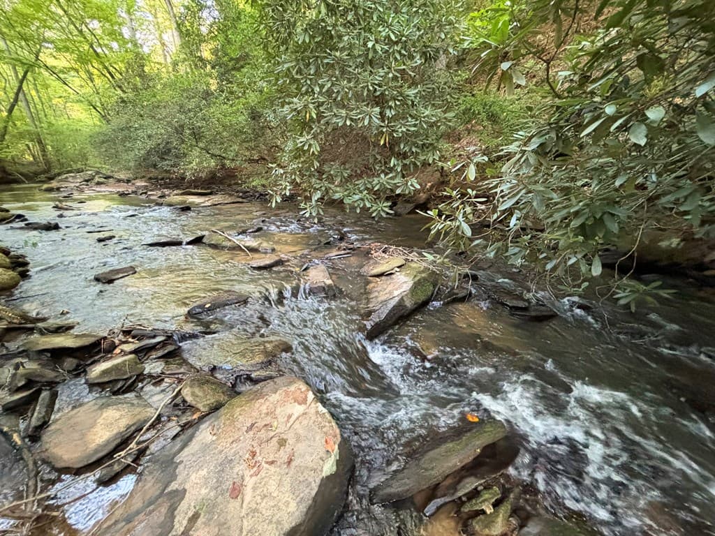 443 Mt. Springer Road, Ellijay GA 30540 - Photo