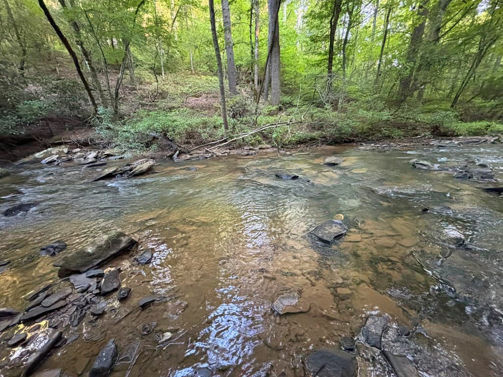 443 Mt. Springer Road, Ellijay GA 30540 - Photo