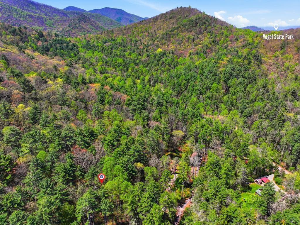 15 Salmon Road, Blairsville GA 30012 - Photo