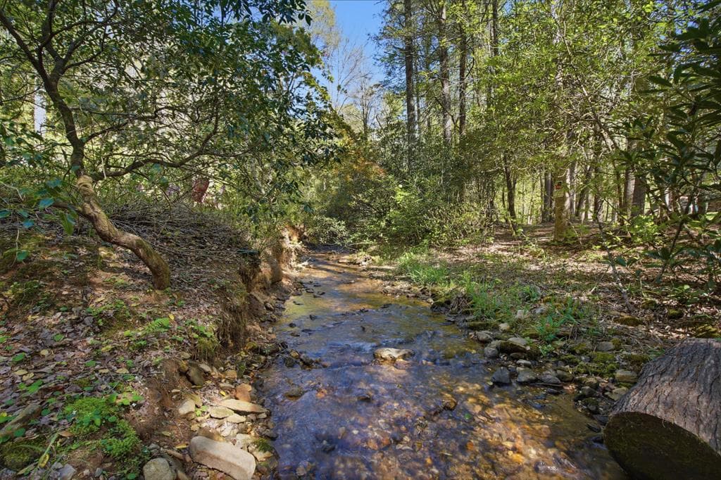 15 Salmon Road, Blairsville GA 30012 - Photo