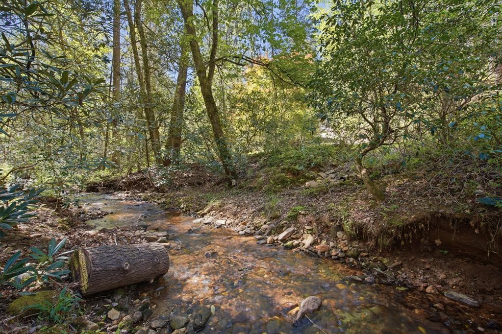 15 Salmon Road, Blairsville GA 30012 - Photo