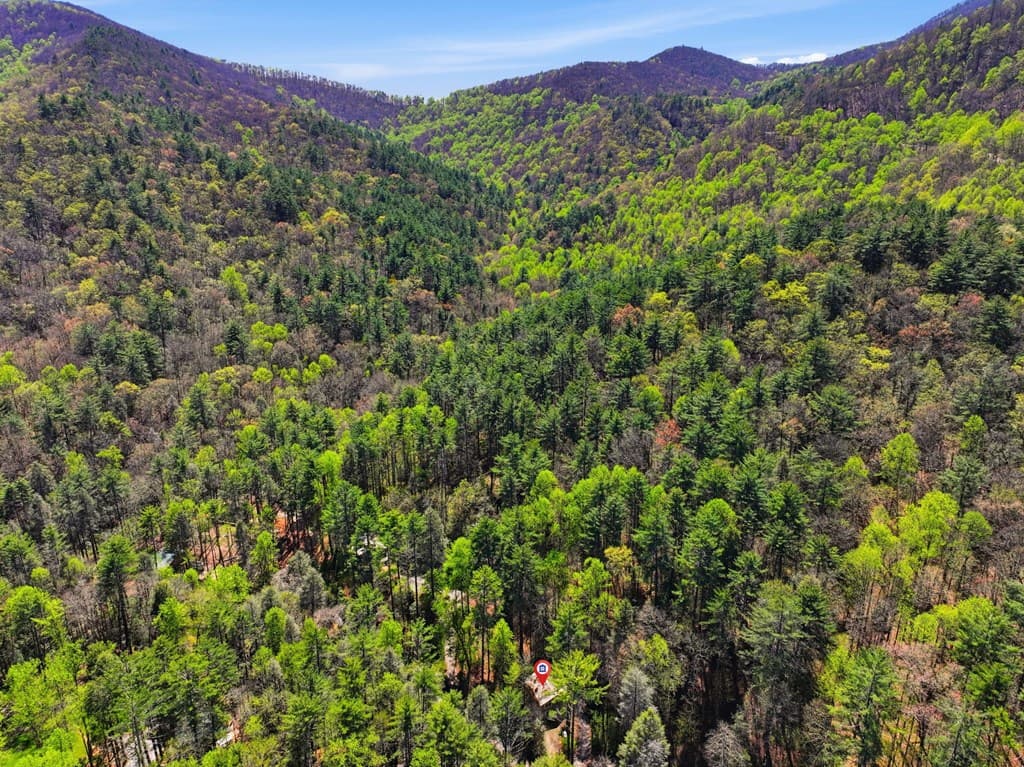 15 Salmon Road, Blairsville GA 30012 - Photo