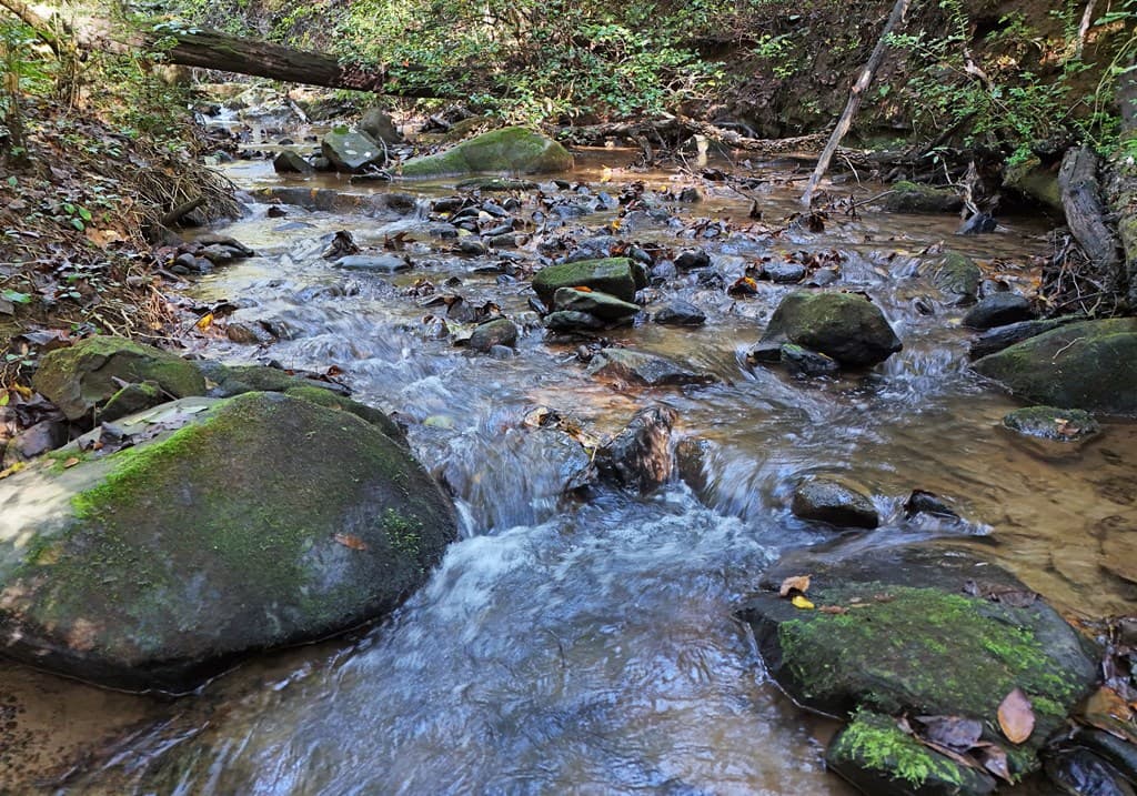 373 Scrougetown Road, Ellijay GA 30536 - Photo