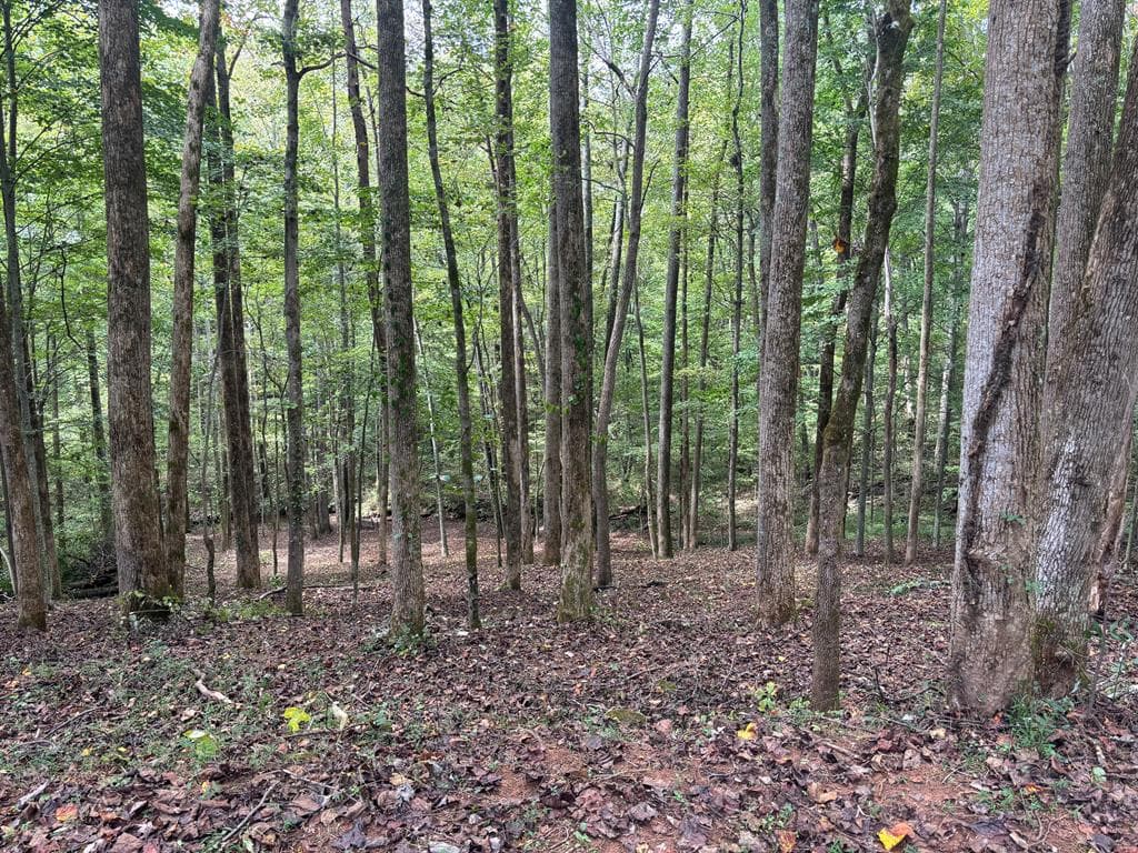 373 Scrougetown Road, Ellijay GA 30536 - Photo