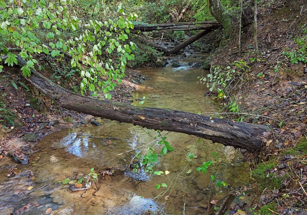 373 Scrougetown Road, Ellijay GA 30536 - Photo