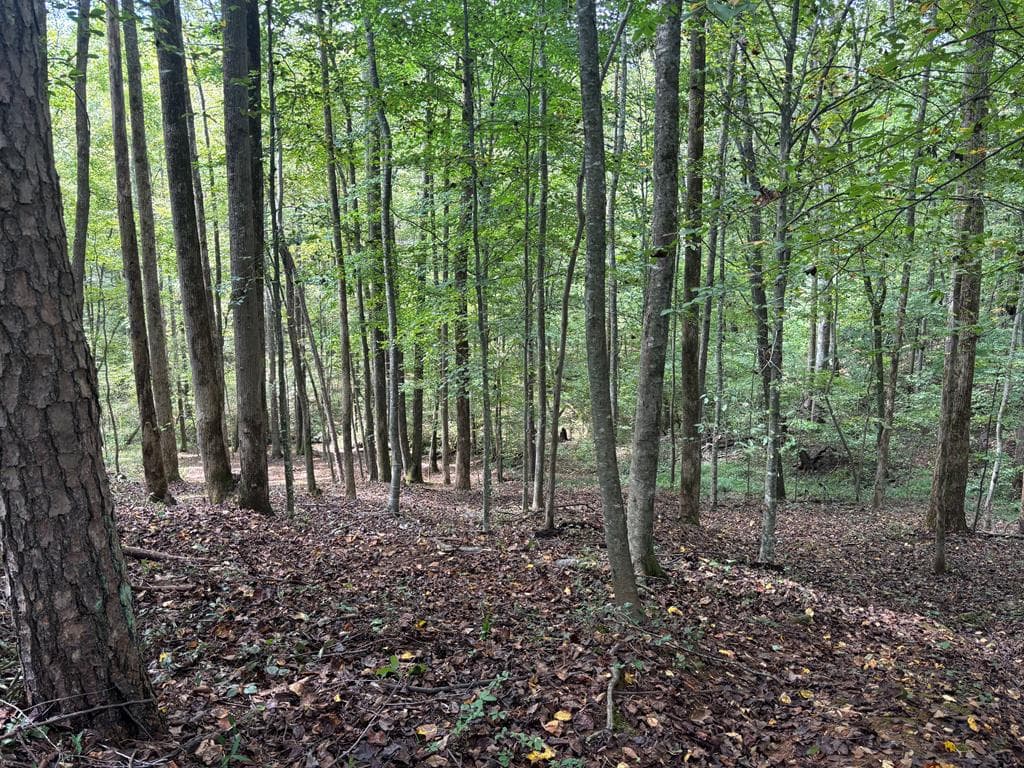 373 Scrougetown Road, Ellijay GA 30536 - Photo