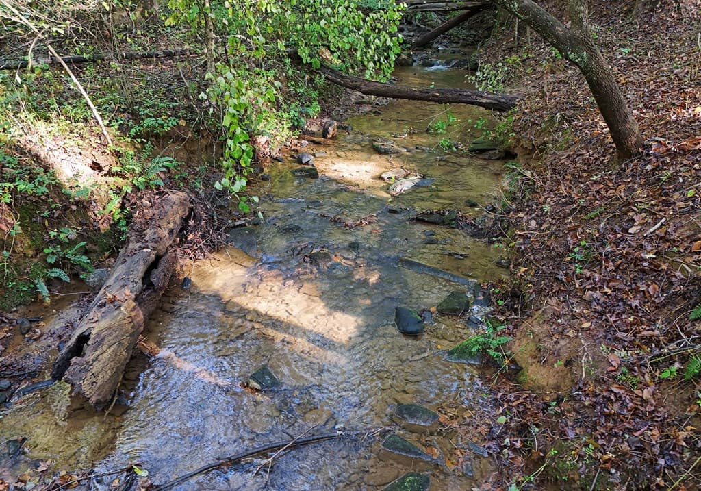 373 Scrougetown Road, Ellijay GA 30536 - Photo
