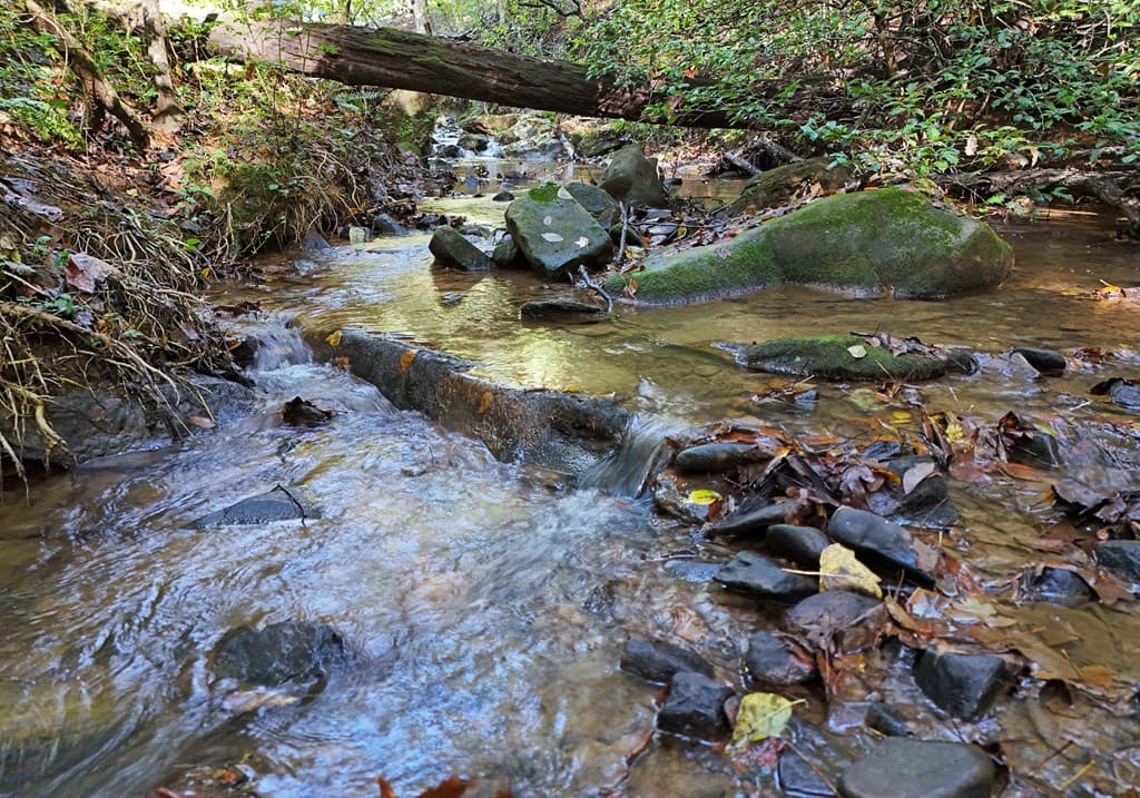 373 Scrougetown Road, Ellijay GA 30536 - Photo