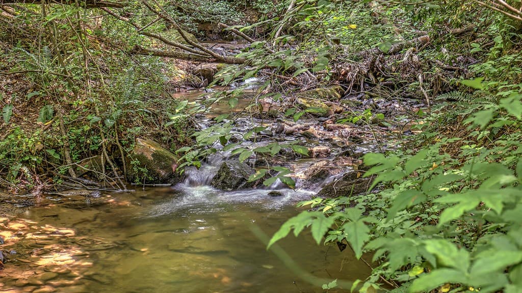 373 Scrougetown Road, Ellijay GA 30536 - Photo