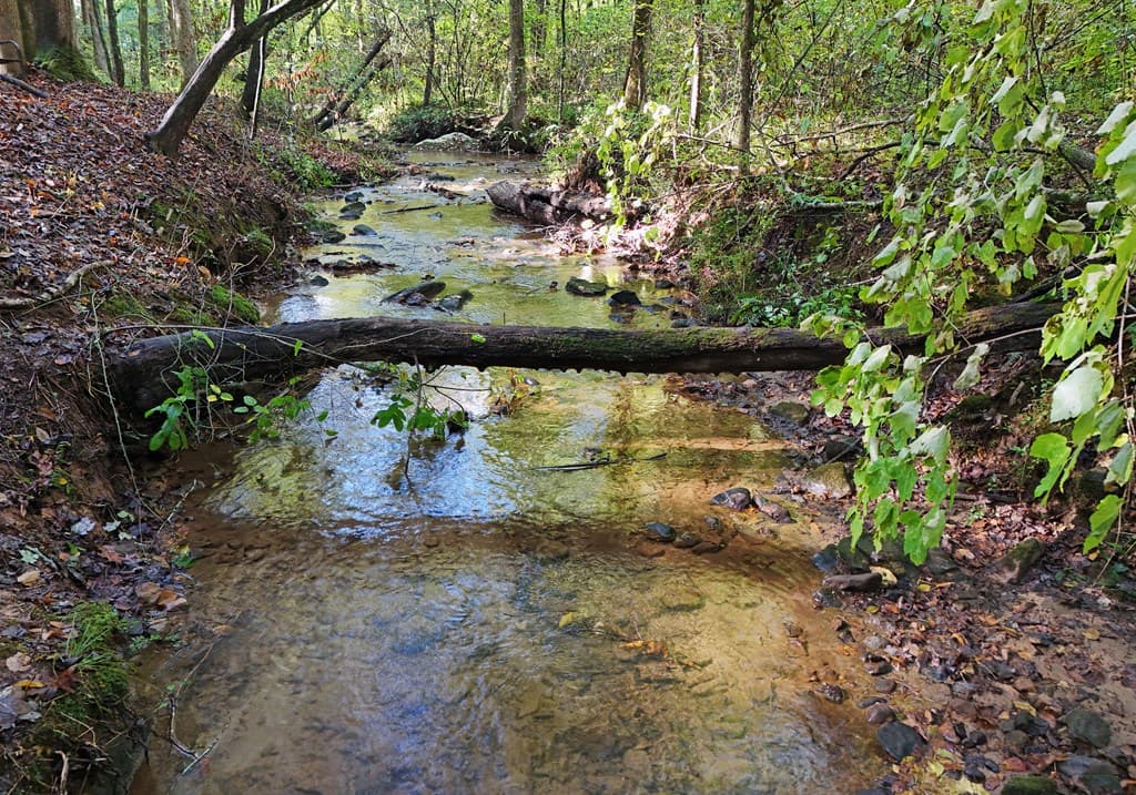 373 Scrougetown Road, Ellijay GA 30536 - Photo