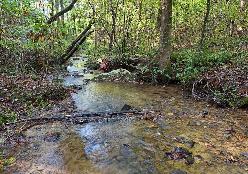 373 Scrougetown Road, Ellijay GA 30536 - Photo