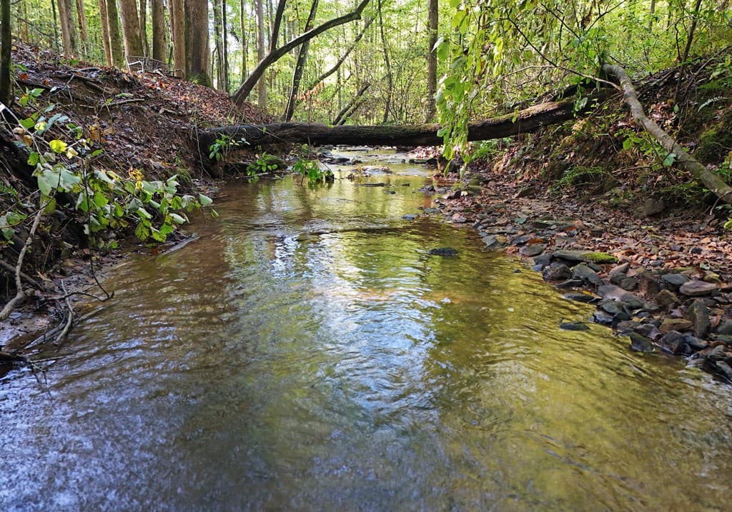 373 Scrougetown Road, Ellijay GA 30536 - Photo