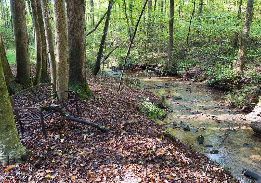 373 Scrougetown Road, Ellijay GA 30536 - Photo