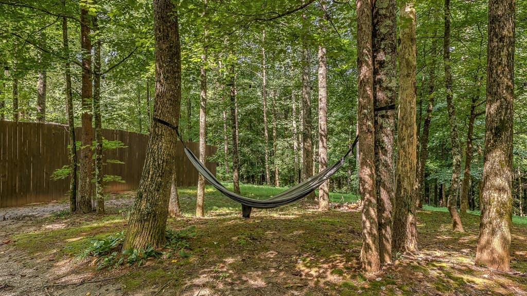 373 Scrougetown Road, Ellijay GA 30536 - Photo