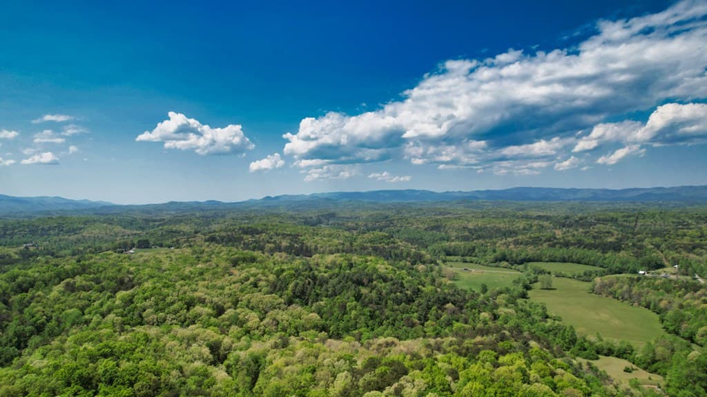 210 Shade Tree Lane, Mineral Bluff GA 30559 - Photo