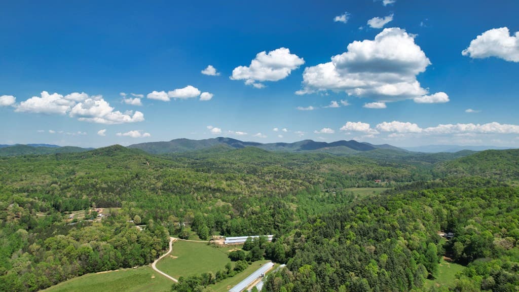 210 Shade Tree Lane, Mineral Bluff GA 30559 - Photo