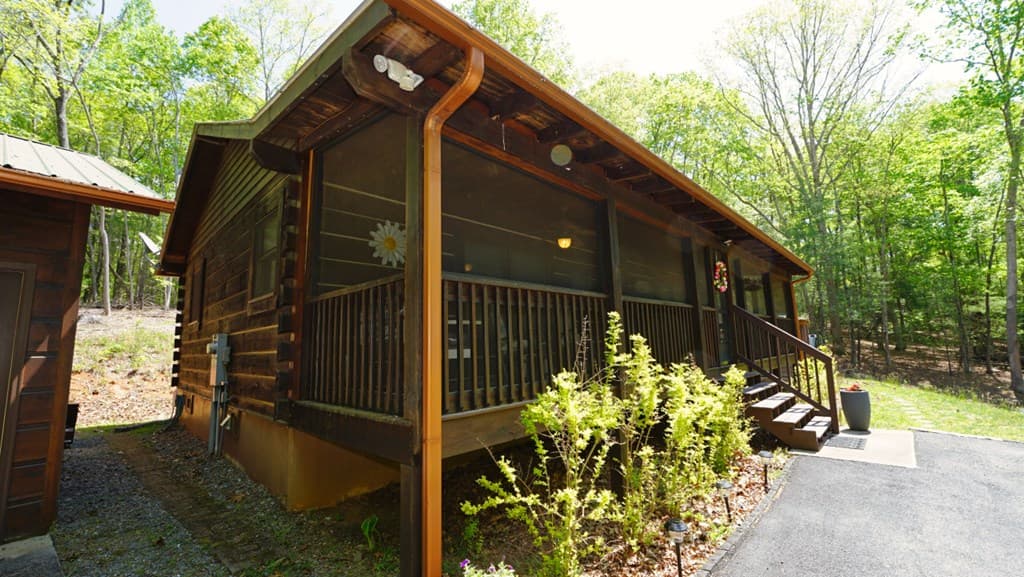 210 Shade Tree Lane, Mineral Bluff GA 30559 - Photo