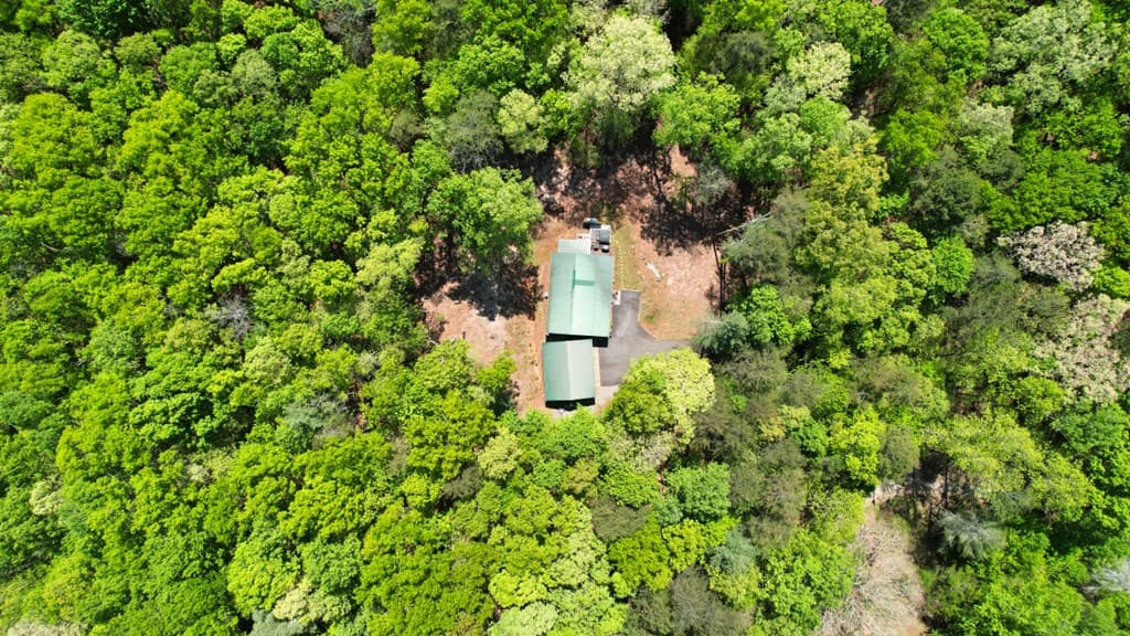 210 Shade Tree Lane, Mineral Bluff GA 30559 - Photo