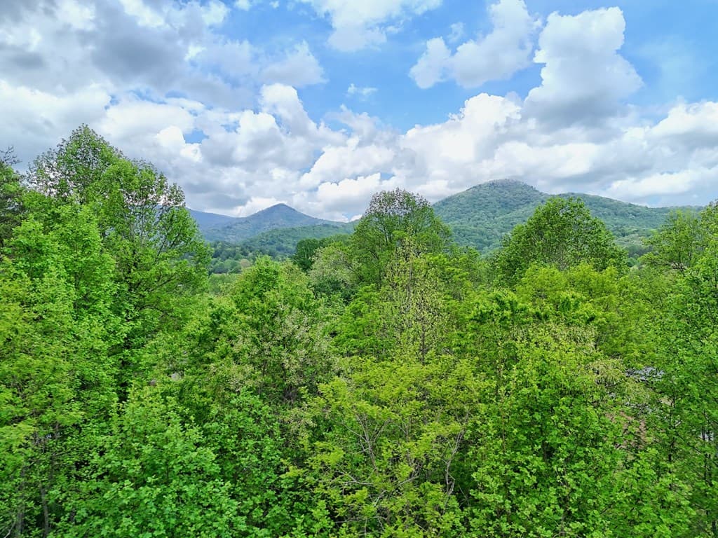 600 Mill Ridge Road, Hiawassee GA 30546 - Photo