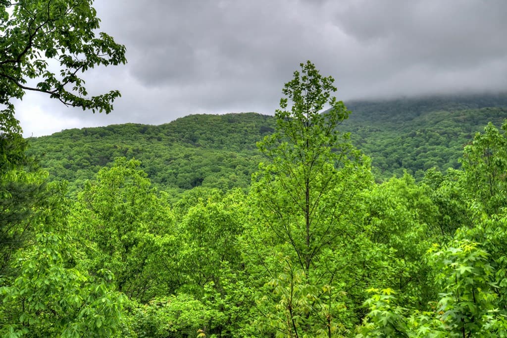 1582 Little Rock Creek Road, Cherry Log GA 30522 - Photo