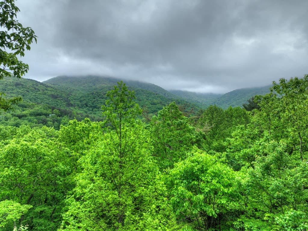 1582 Little Rock Creek Road, Cherry Log GA 30522 - Photo