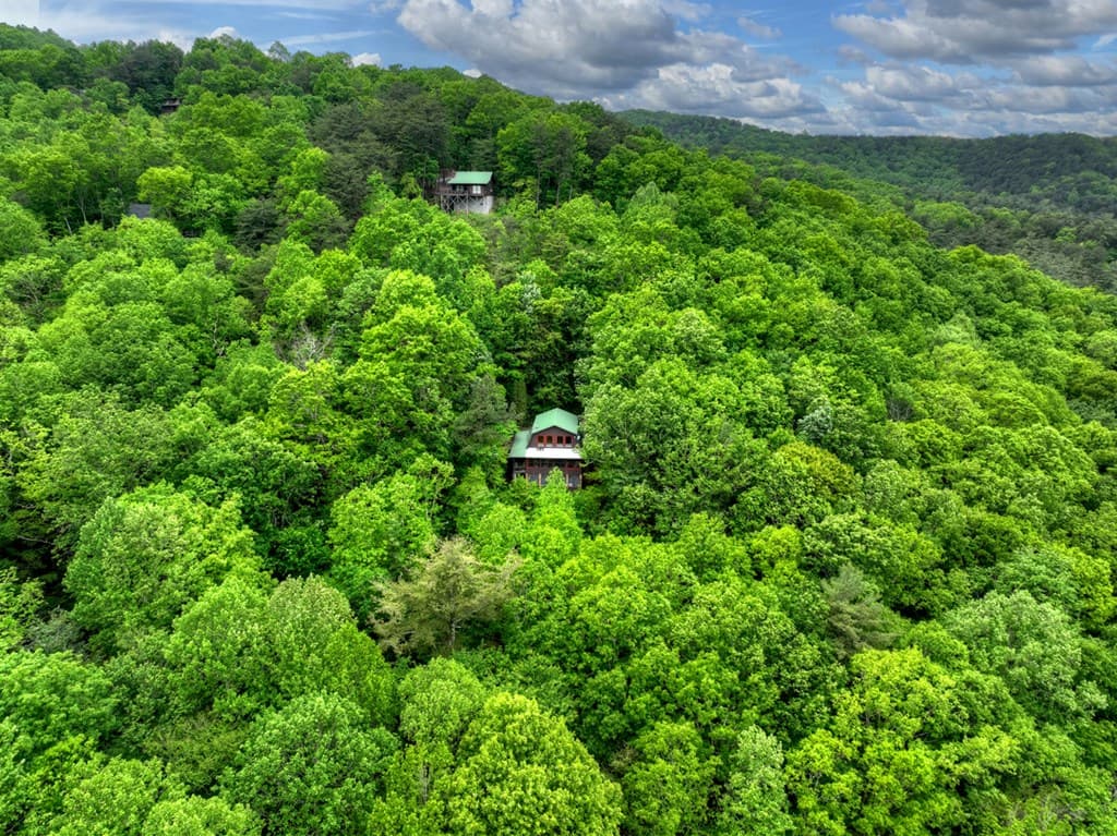 1582 Little Rock Creek Road, Cherry Log GA 30522 - Photo