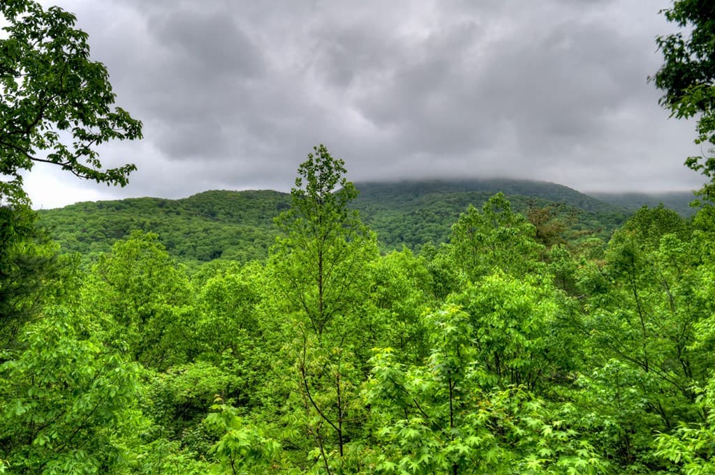 1582 Little Rock Creek Road, Cherry Log GA 30522 - Photo