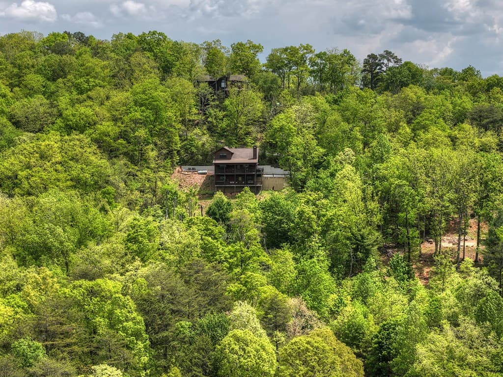 291 Tower Road, Mineral Bluff GA 30559 - Photo