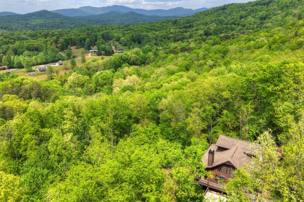 291 Tower Road, Mineral Bluff GA 30559 - Photo
