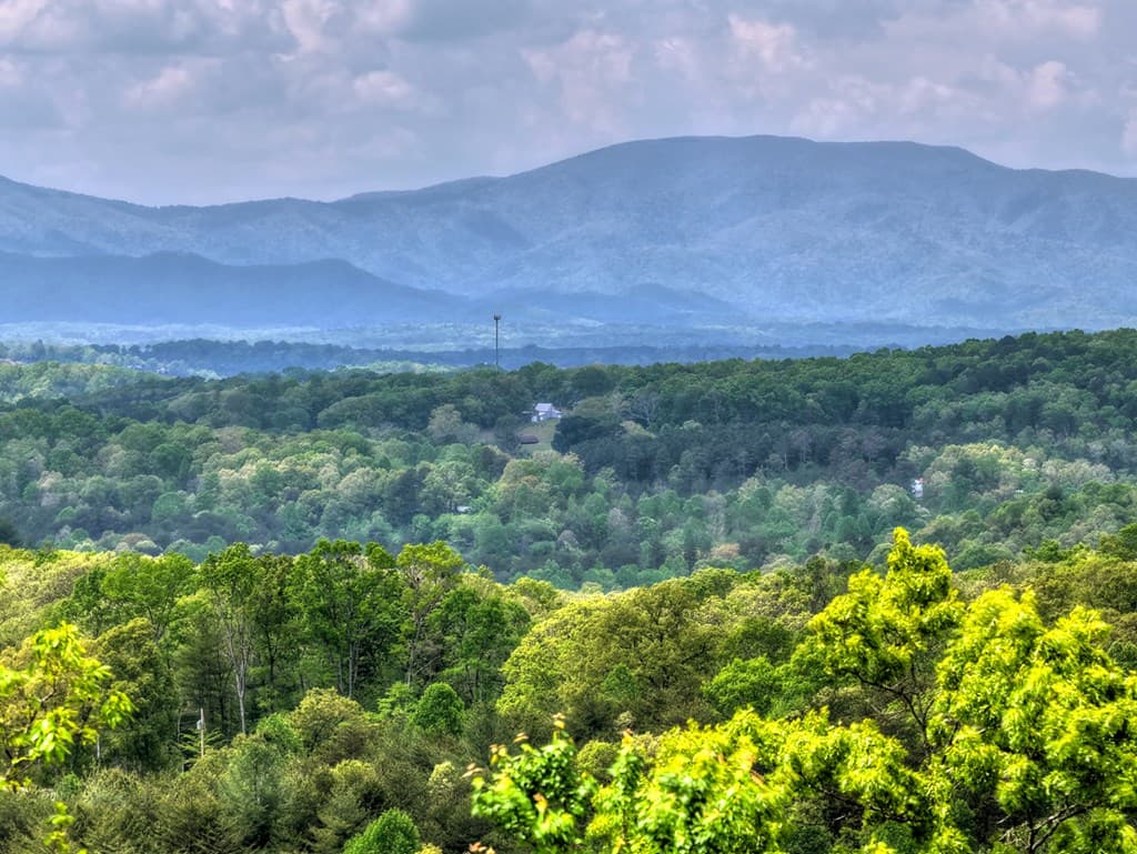 291 Tower Road, Mineral Bluff GA 30559 - Photo