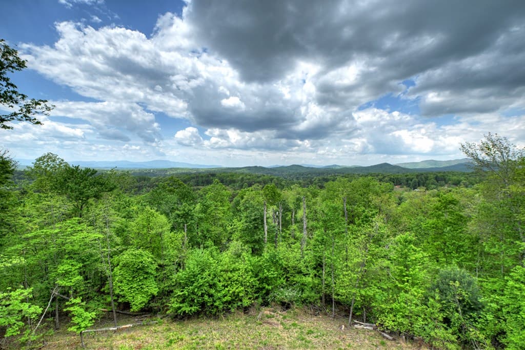 291 Tower Road, Mineral Bluff GA 30559 - Photo