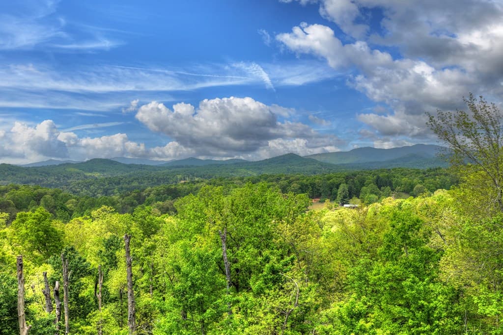 291 Tower Road, Mineral Bluff GA 30559 - Photo