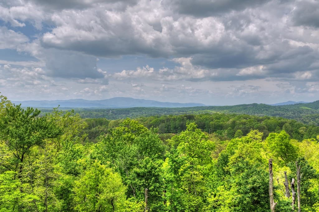 291 Tower Road, Mineral Bluff GA 30559 - Photo
